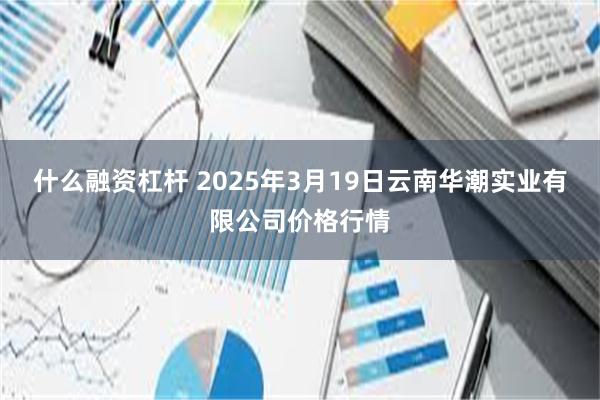 什么融资杠杆 2025年3月19日云南华潮实业有限公司价格行情