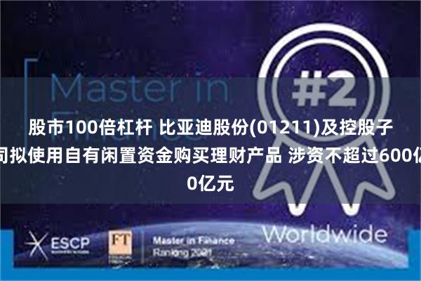 股市100倍杠杆 比亚迪股份(01211)及控股子公司拟使用自有闲置资金购买理财产品 涉资不超过600亿元