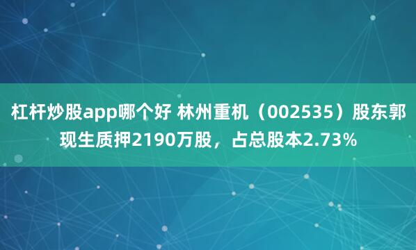 杠杆炒股app哪个好 林州重机（002535）股东郭现生质押2190万股，占总股本2.73%
