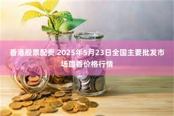 香港股票配资 2025年5月23日全国主要批发市场茴香价格行情