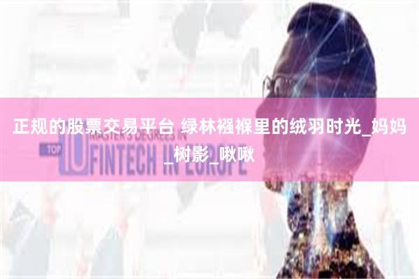 正规的股票交易平台 绿林襁褓里的绒羽时光_妈妈_树影_啾啾