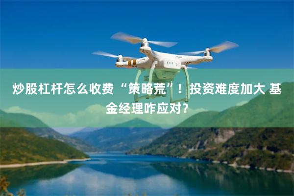 炒股杠杆怎么收费 “策略荒”！投资难度加大 基金经理咋应对？