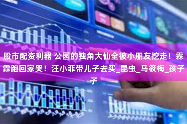 股市配资利器 公园的独角大仙全被小朋友挖走！霖霖跑回家哭！汪小菲带儿子去买_昆虫_马筱梅_孩子