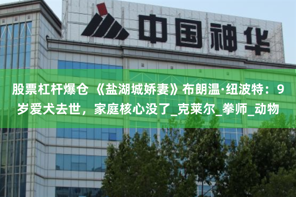 股票杠杆爆仓 《盐湖城娇妻》布朗温·纽波特：9岁爱犬去世，家庭核心没了_克莱尔_拳师_动物