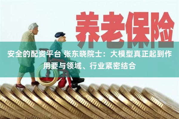 安全的配资平台 张东晓院士：大模型真正起到作用要与领域、行业紧密结合